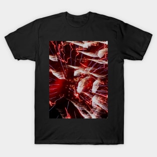 Feathered Souls T-Shirt